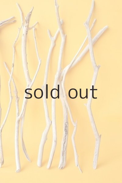 画像4: 小枝流木セット (4)