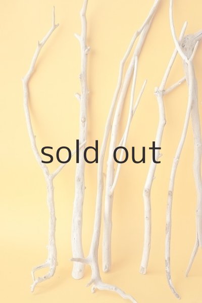 画像2: 小枝流木セット (2)