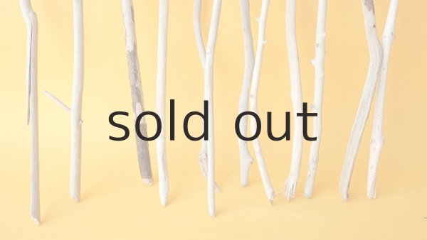 画像2: 小枝流木セット (2)