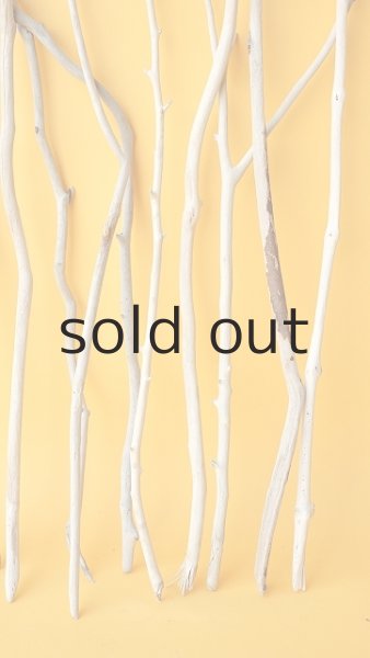 画像6: 小枝流木セット (6)