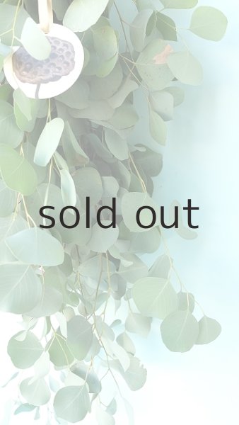 画像5: Dry plants for decor ユーカリシンプルスワッグ (5)