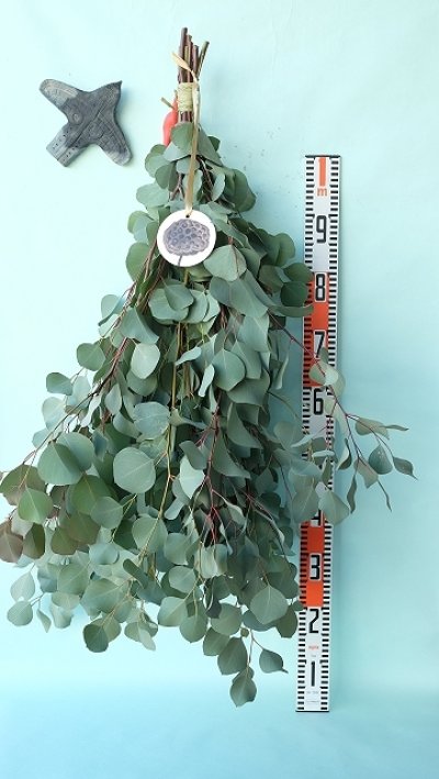 画像3: Dry plants for decor ユーカリシンプルスワッグ