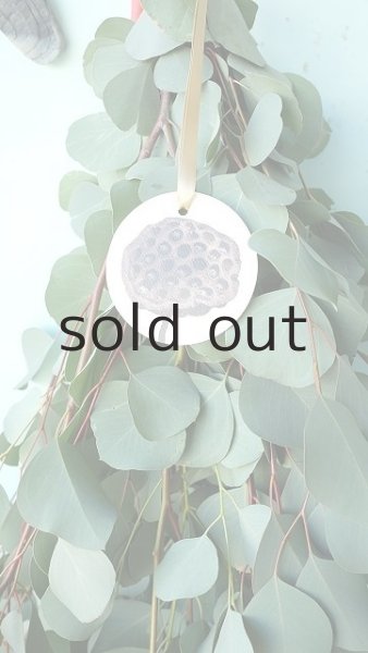 画像3: Dry plants for decor ユーカリシンプルスワッグ (3)