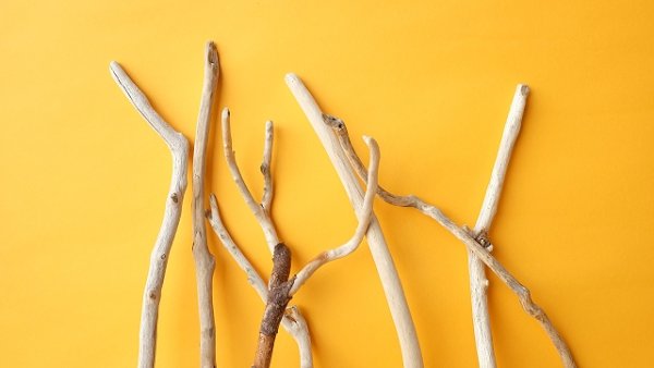 画像4: 小枝流木セット (4)