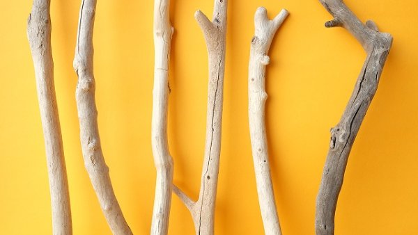 画像3: 小枝流木セット (3)