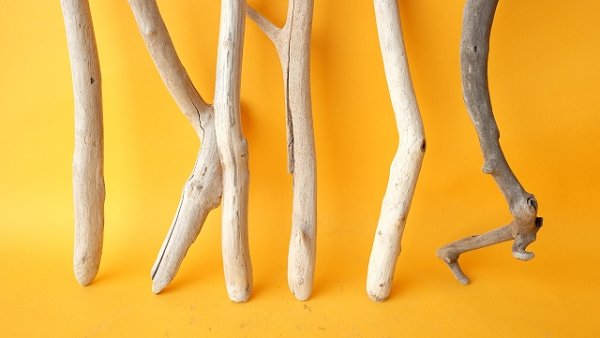 画像2: 小枝流木セット (2)