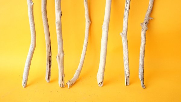 画像2: 小枝流木セット (2)