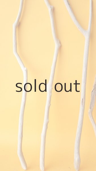 画像5: 小枝流木セット (5)