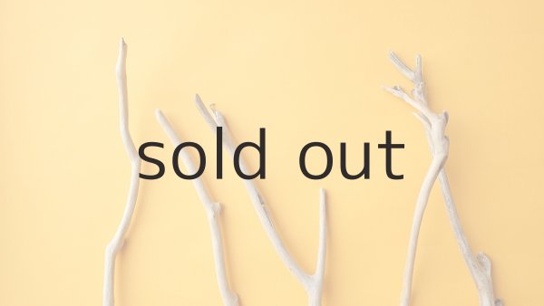 画像4: 小枝流木セット (4)