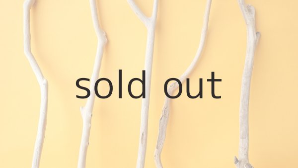 画像3: 小枝流木セット (3)