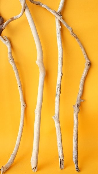 画像6: 小枝流木セット (6)