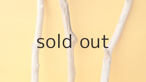 画像3: 小枝流木セット (3)