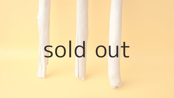 画像2: 小枝流木セット (2)