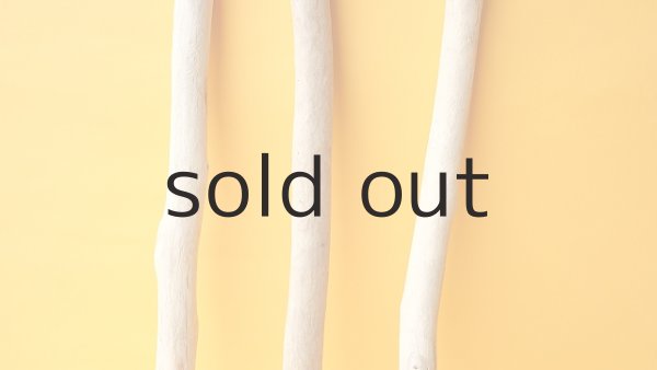 画像3: 小枝流木セット (3)