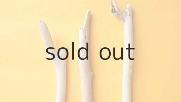 画像4: 小枝流木セット (4)