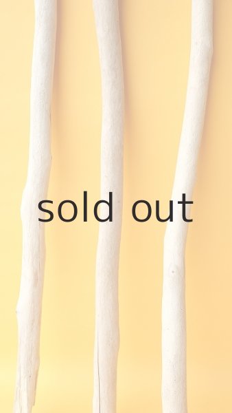 画像5: 小枝流木セット (5)