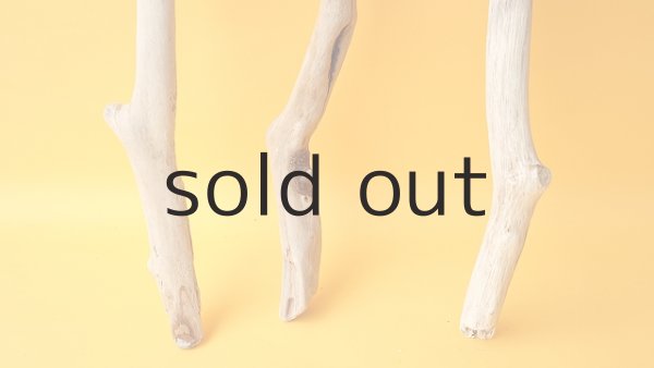 画像2: 小枝流木セット (2)