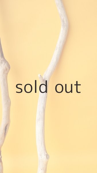 画像6: 小枝流木セット (6)