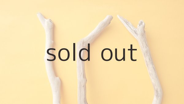 画像4: 小枝流木セット (4)