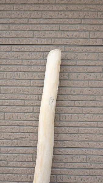 画像5: 幹流木・長尺 (5)