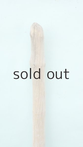 画像4: 幹流木 (4)