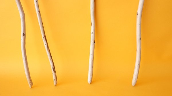 画像2: 棒流木セット (2)