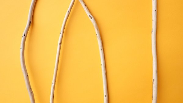 画像3: 棒流木セット (3)