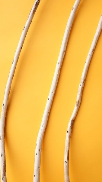 画像3: 棒流木セット (3)