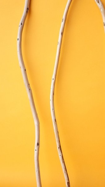 画像5: 棒流木セット (5)