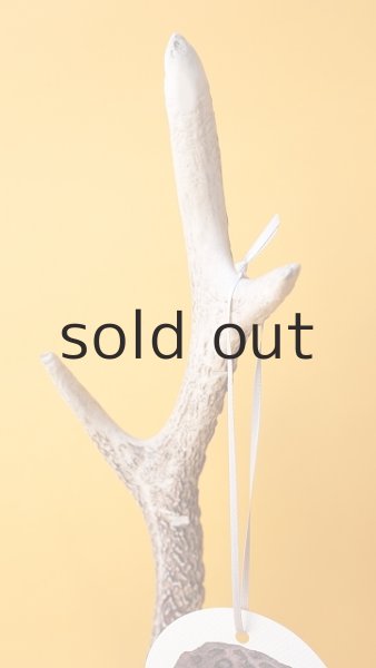 画像3: 小物掛け  by GRAY and GREEN (3)