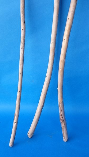 画像2: 棒流木セット (2)