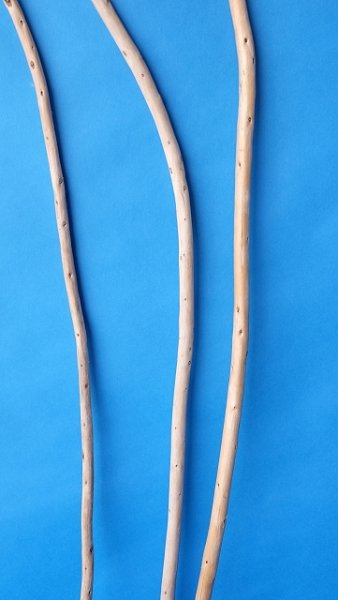 画像3: 棒流木セット (3)