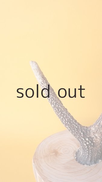 画像4: 小物掛け  by GRAY and GREEN (4)