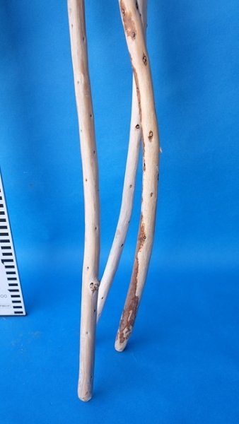 画像5: 棒流木セット (5)