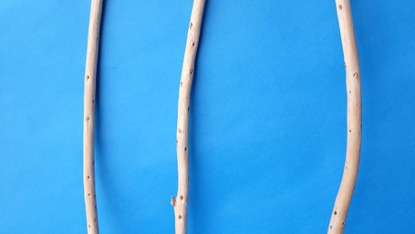 画像3: 棒流木セット (3)