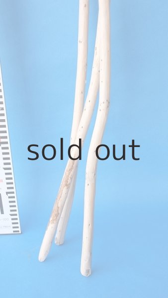 画像5: 棒流木セット (5)