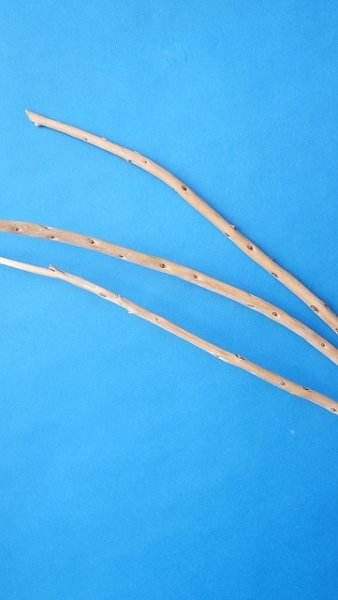 画像4: 棒流木セット (4)