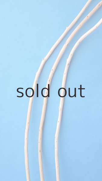 画像3: 棒流木セット (3)