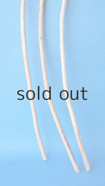 画像2: 棒流木セット (2)