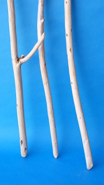 画像2: 棒流木セット (2)