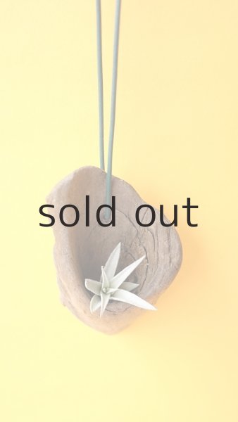 画像2: エアープランツ置き（ハンギングタイプ） by GRAY and GREEN (2)