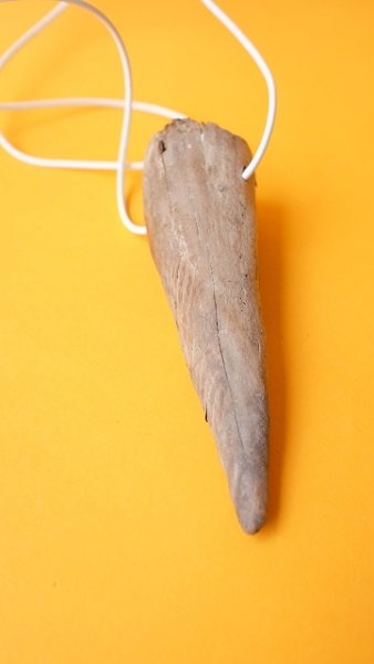 画像3: エアープランツ置き(ハンギングタイプ) by GRAY and GREEN (3)