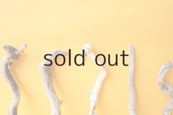 画像6: 流木根セット (6)