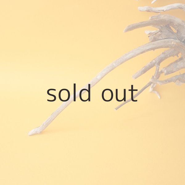 画像3: ミニ流木根 (3)