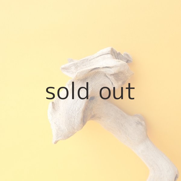 画像3: 流木根 (3)