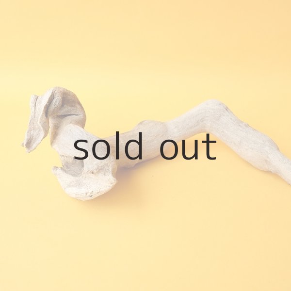 画像4: 流木根 (4)