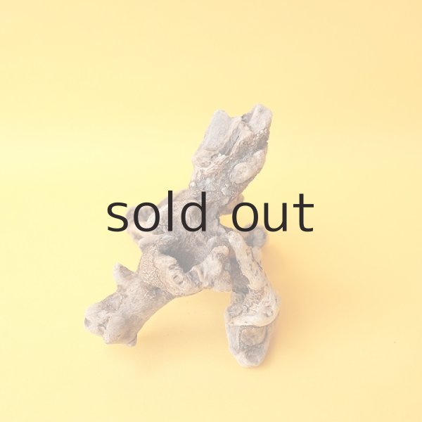 画像2: ミニ流木根 (2)