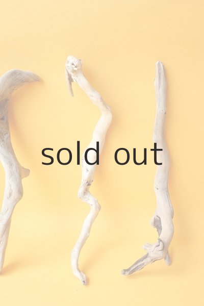 画像3: 流木根セット (3)