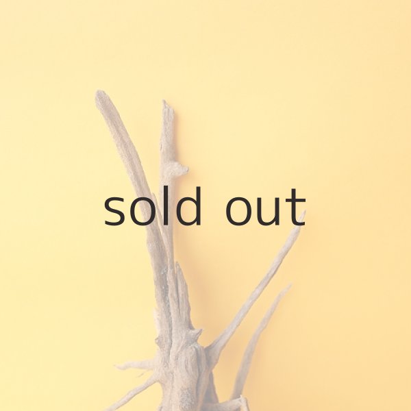 画像3: ミニ流木根 (3)