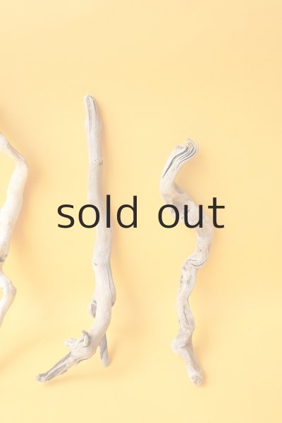 画像4: 流木根セット (4)